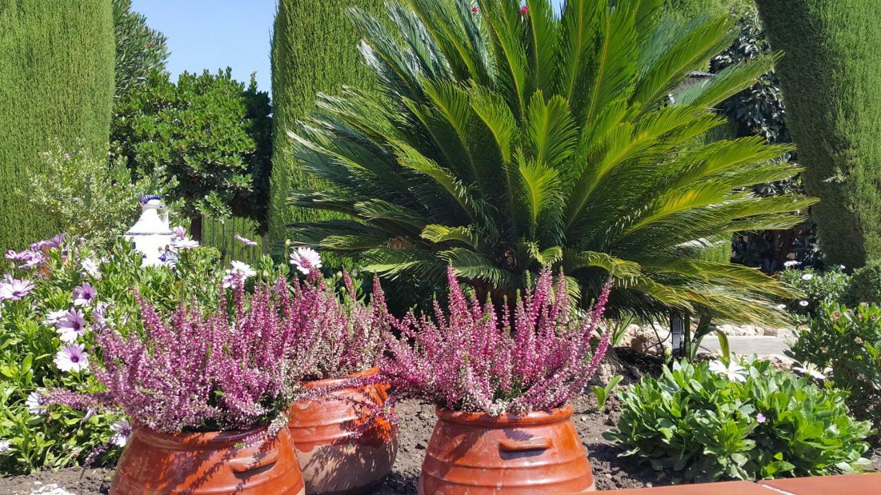 El Jardin De La Abuela Βίλα Γρανάδα Εξωτερικό φωτογραφία