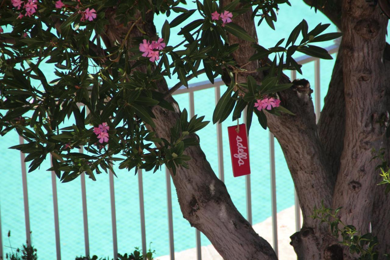 El Jardin De La Abuela Βίλα Γρανάδα Εξωτερικό φωτογραφία